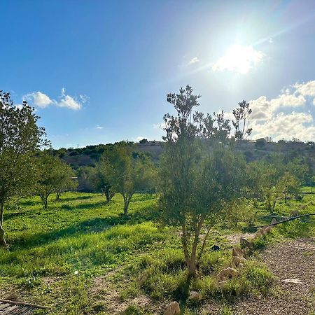 Quiet Oasis Luxury Stone Villa With Panoramic Views Near エッサウィラ エクステリア 写真